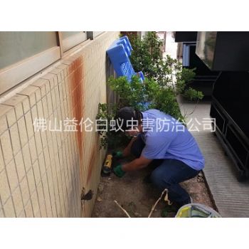 佛山投放灭鼠装置工程